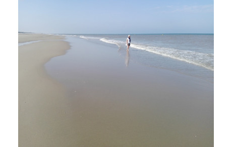 Des nouvelles de fin de saison